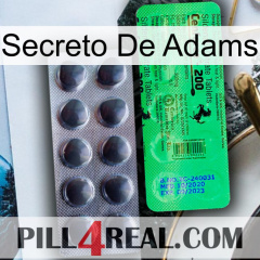 Adams Secret new04